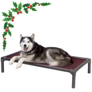 Dog cot